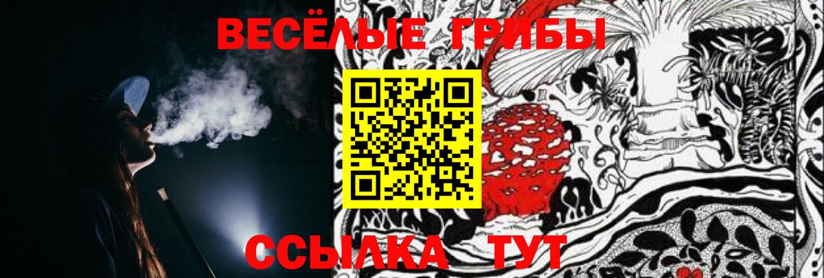 Дальнегорск  Галлюциногенные грибы ЛСД  Вход с VPN 
